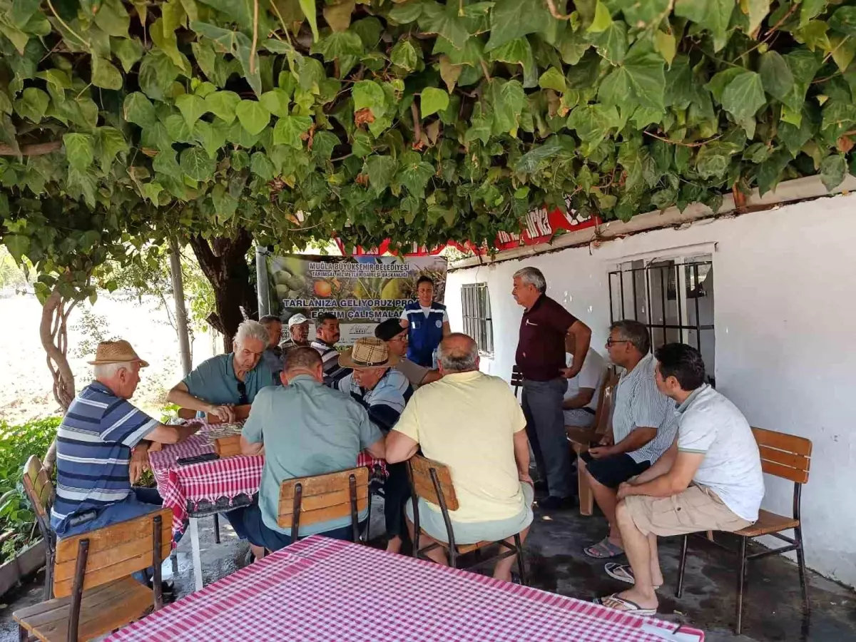 Muğla’da Zeytin Üreticilerine Eğitim Desteği
